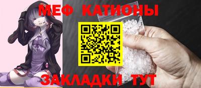 стафф Кингисепп