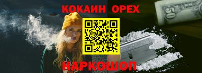 стафф Кингисепп