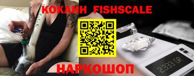 стафф Кингисепп