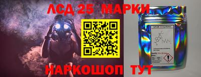 стафф Кинель