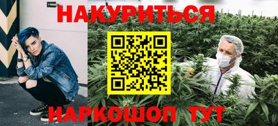 стафф Кингисепп