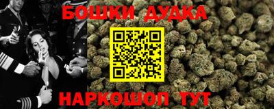 стафф Кинель