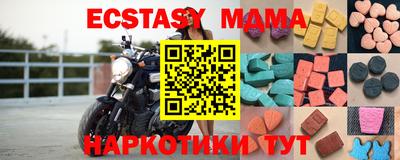 стафф Кингисепп