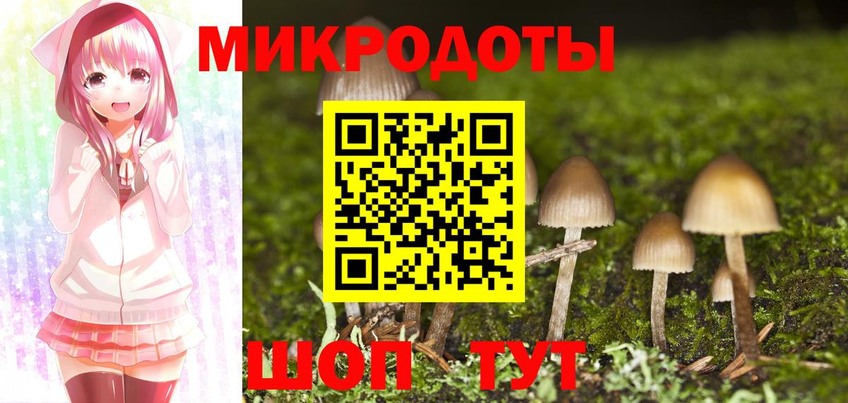 Псилоцибиновые грибы Cubensis  наркота  Вход с VPN  Химки  Псилоцибиновые грибы ЛСД 